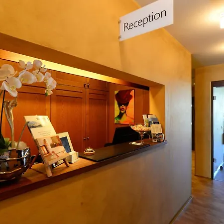 斯特劳布斯美景酒店 3*